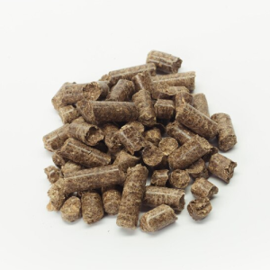 Amravati in Maharashtra