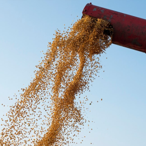 Nagpur in Maharashtra